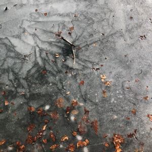 Meet your Posher, Gab